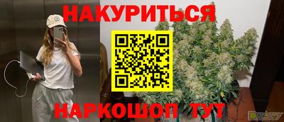 сатива Шебекино
