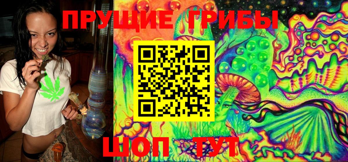 Псилоцибиновые грибы Psilocybe  Псилоцибиновые грибы мухоморы  Бийск  Вход с VPN 